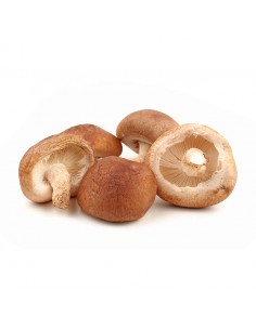 Seta shiitake 250 grs