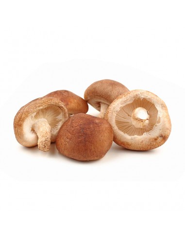 Seta shiitake 250 grs