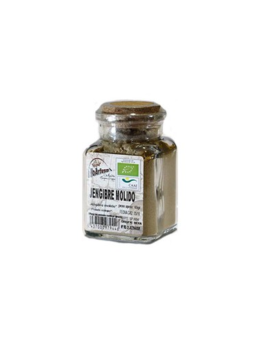 Jengibre molido Bioartesa 60 gr