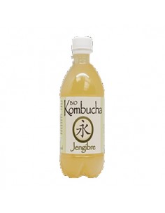 Kombucha jengibre...