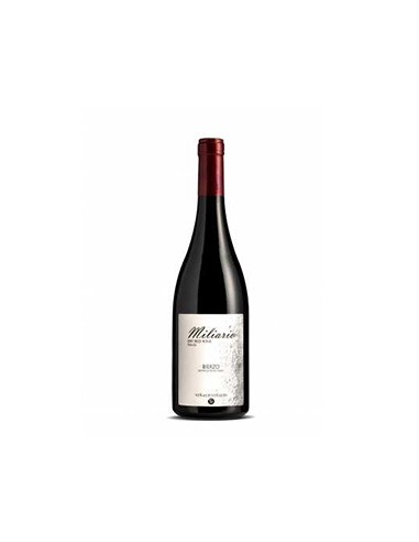 Vino tinto Mencía