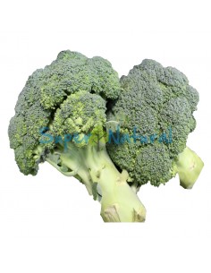 Brocoli 500 grs.aprox