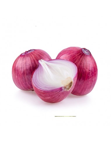 Cebolla roja 500 grs. aprox