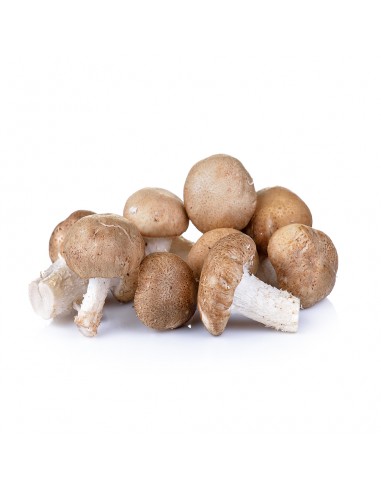 Seta shiitake 300 grs. aprox.