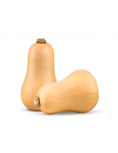 Calabaza cacahuete 1.500...