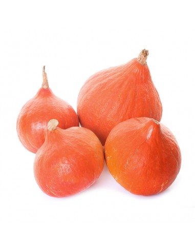 Calabaza potimarrón 1,100 kg aprox.