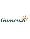 Gumendi