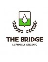 The bridge