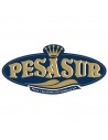 Pesasur