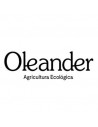 Oleander
